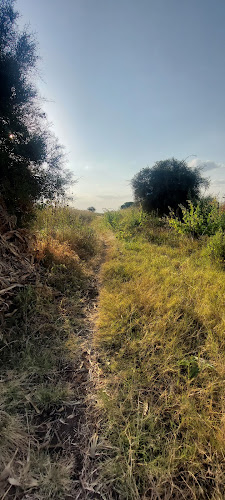 Landstock Kenya