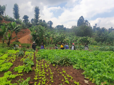 Mlango Farm
