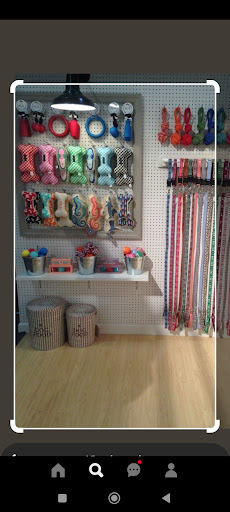 Jaymaish Pet Shop & Agrovet Ruaka Runda