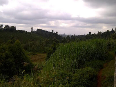 Kamuchege Secondary School