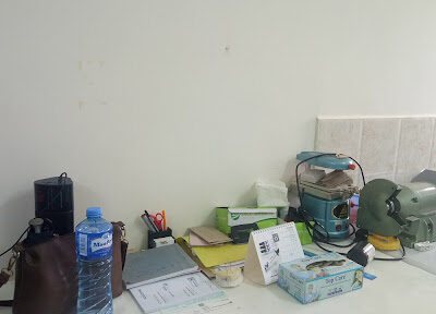 Casting Crowns Dental Laboratory