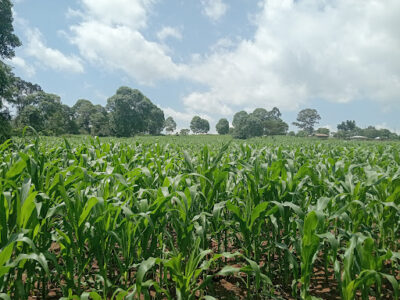 Happy Farm Agrovet