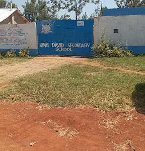 King David Senior School