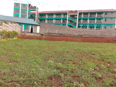 City Rose Academy