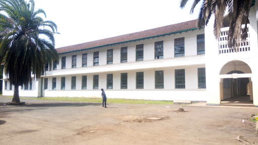 City Primary School