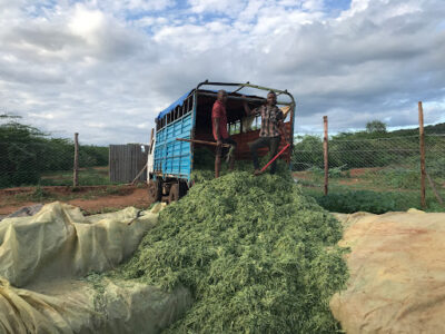 Craft Agricultural Farm