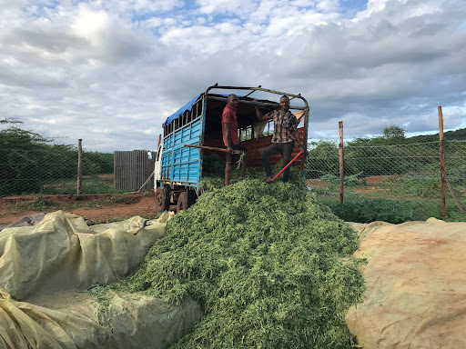 Craft Agricultural Farm