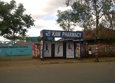 Moi Avenue Primary School
