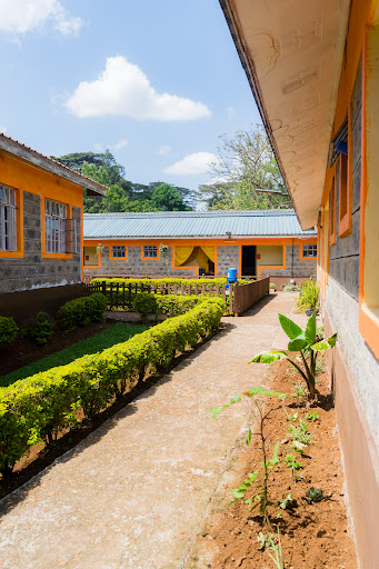Waldorf Woodlands School
