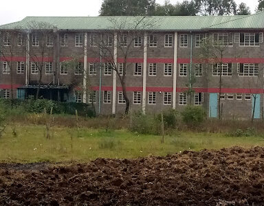 Domus Mariae School