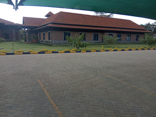 Peponi School Ltd