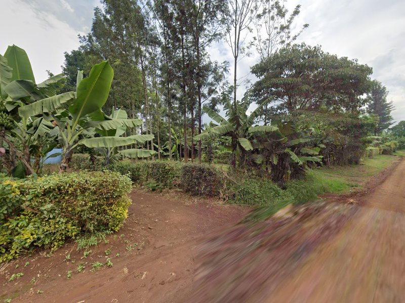 Gicoco Primary