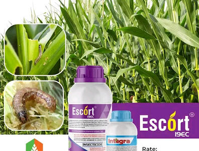 Kathama Farmers Agrovet.