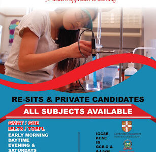 Aliphaxe Learning Centre Kilimani Nairobi- Igcse,8.4.4,As & A Levels