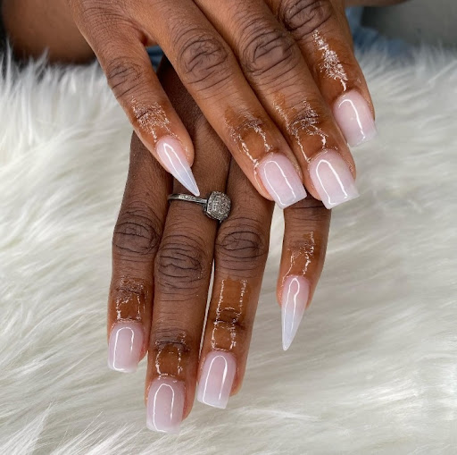 Phylluxury Beauty Parlour