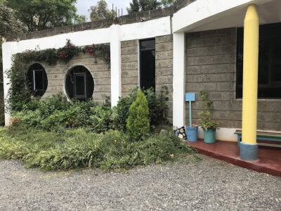 Ariel Junior Academy