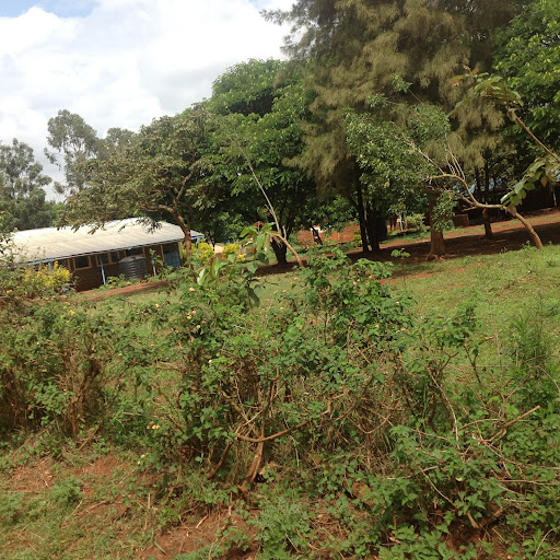 Kiboko Pri Sch