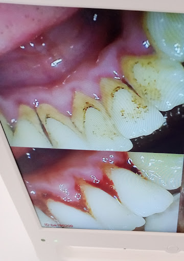 Access Smile Dental Clinic
