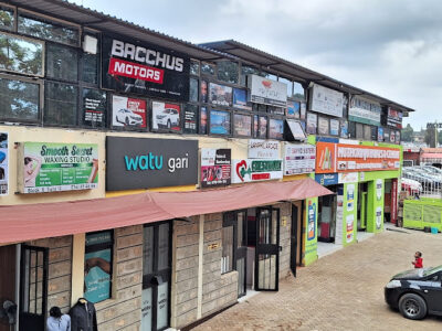 Bacchus Motors