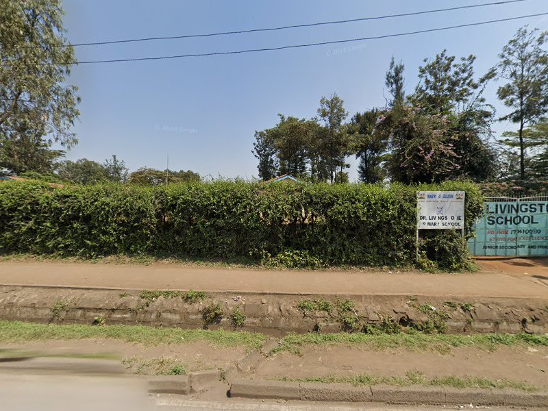 Dr Livingstone Primary