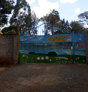 Gracefield Schools