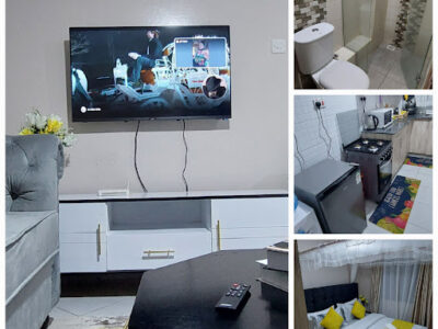 Meir Homes