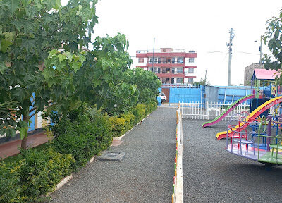Blue Falcon School, Utawala