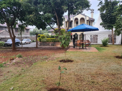 Dove International Wellness Centre