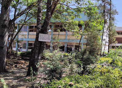 Kenyatta University Primary School