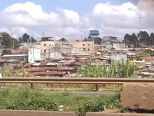 Seed School Kibera