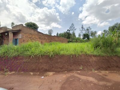 Amomo Agrovet