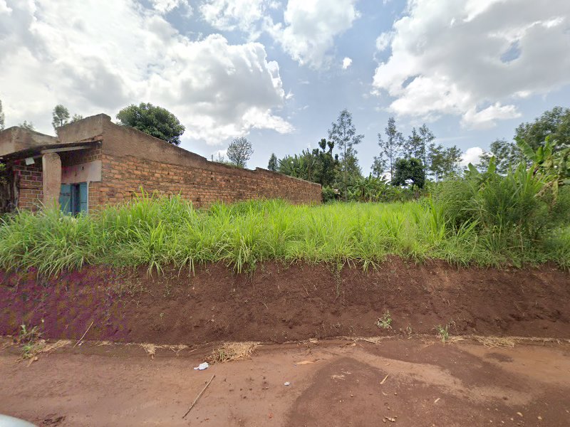 Amomo Agrovet