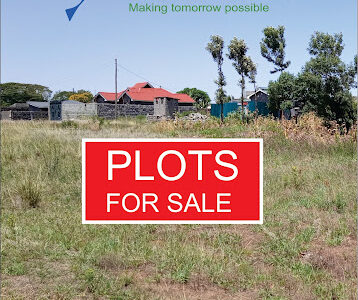 Shelta Investments Limited