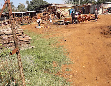 Sadick Timber Yard And Hardware