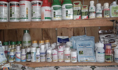 Mutara Agrovet