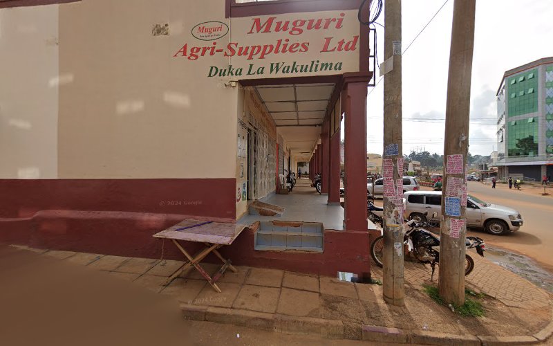 Honda Kitale