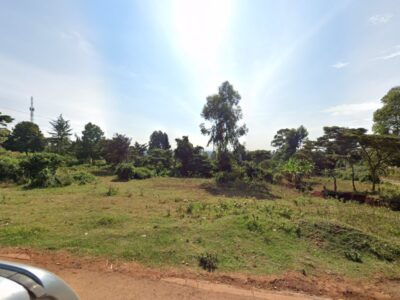 Stawi Gardens
