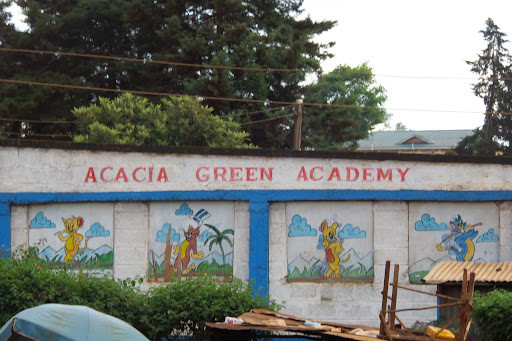 Acacia Green Academy