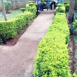 Thika Rehab Home