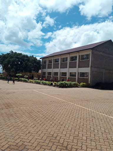 Moi Primary School