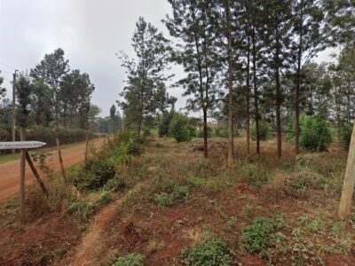 Teen Challenge Of Kenya