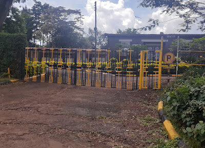 Lavington Primary School