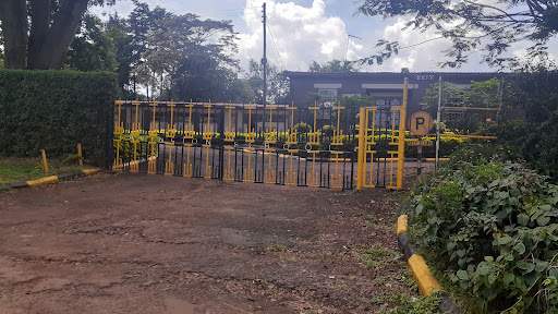 Lavington Primary School