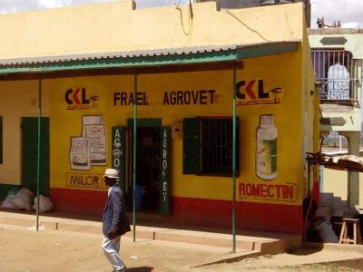 Frael Agrovet- Kwa Mutisya