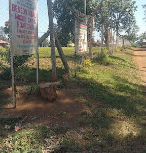 Benson Njau Primary