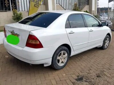 Greentax Motor Spares And Car Hire