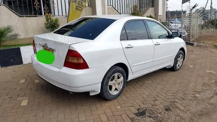Greentax Motor Spares And Car Hire
