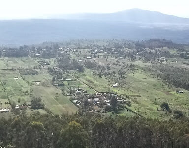 Wiltru Girls High Sch