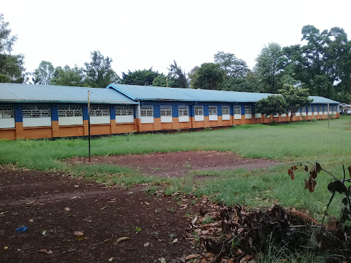 Food For Education - Farasi Lane