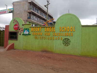 Mt Angel School
